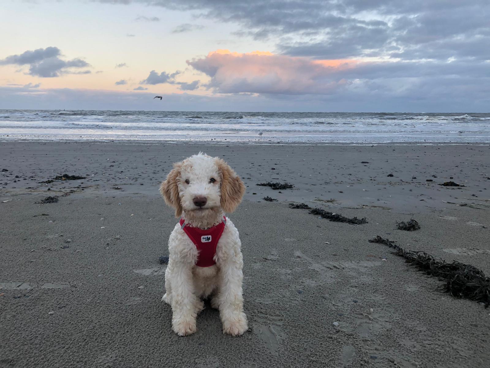 WhatsApp Bild 2025-04-11 um 21.48.34_7b62238a