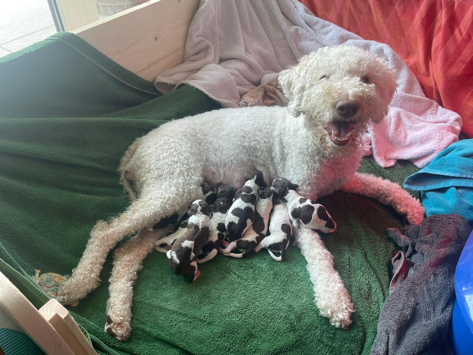 WhatsApp Bild 2025-06-03 um 20.31.55_f81b650d